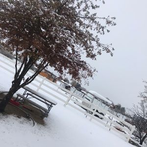 Meet your Posher, Lidia